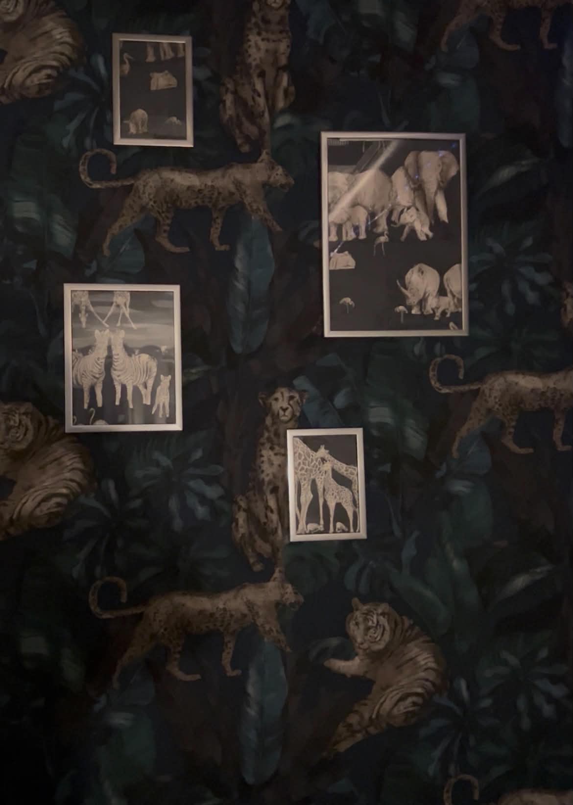 Framed wildlife prints on jungle wallpaper